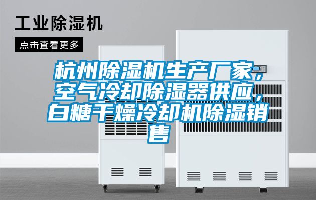 杭州除濕機(jī)生產(chǎn)廠家，空氣冷卻除濕器供應(yīng)，白糖干燥冷卻機(jī)除濕銷售