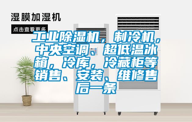 工業(yè)除濕機(jī)，制冷機(jī)，中央空調(diào)、超低溫冰箱，冷庫，冷藏柜等銷售、安裝、維修售后一條