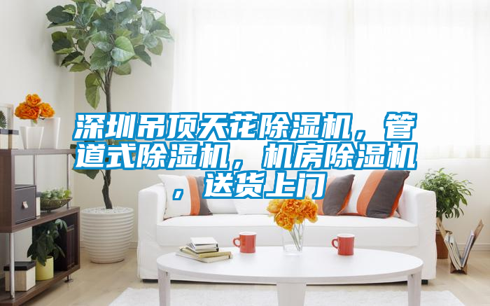 深圳吊頂天花除濕機(jī)，管道式除濕機(jī)，機(jī)房除濕機(jī)，送貨上門