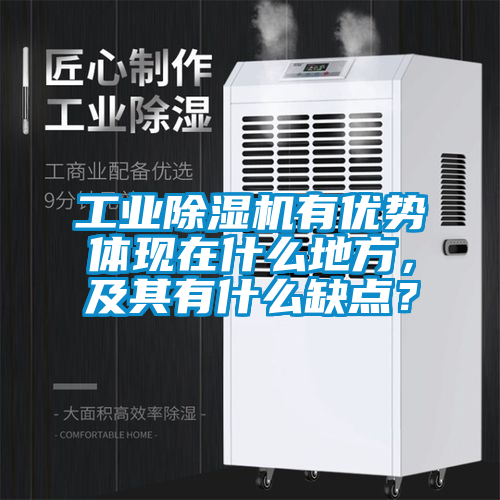 工業(yè)除濕機(jī)有優(yōu)勢體現(xiàn)在什么地方，及其有什么缺點？