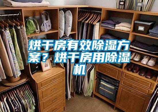 烘干房有效除濕方案？烘干房用除濕機(jī)