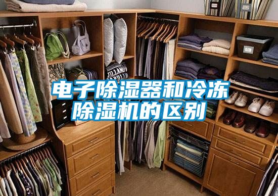 電子除濕器和冷凍除濕機的區(qū)別