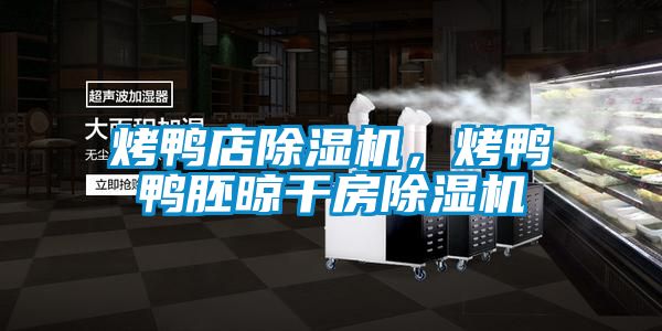 烤鴨店除濕機(jī)，烤鴨鴨胚晾干房除濕機(jī)