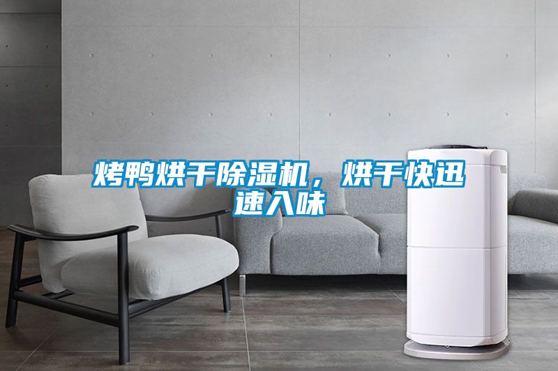 烤鴨烘干除濕機(jī)，烘干快迅速入味