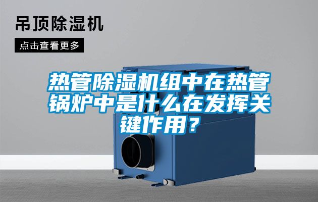 熱管除濕機(jī)組中在熱管鍋爐中是什么在發(fā)揮關(guān)鍵作用？
