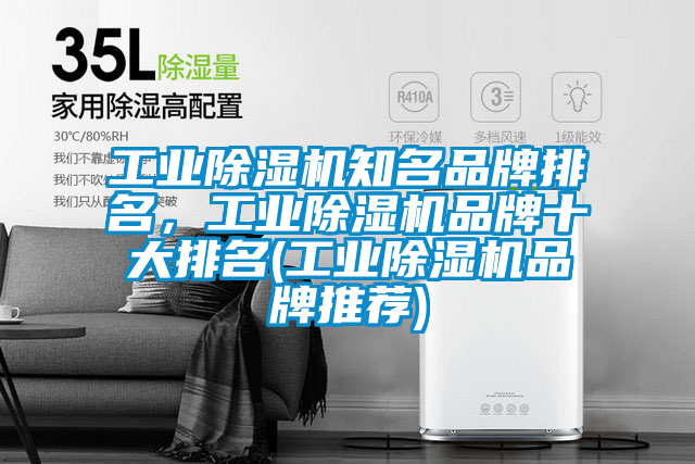 工業(yè)除濕機(jī)知名品牌排名，工業(yè)除濕機(jī)品牌十大排名(工業(yè)除濕機(jī)品牌推薦)