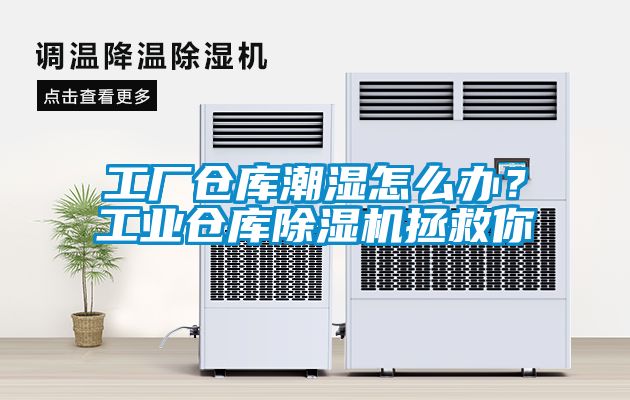 工廠倉庫潮濕怎么辦？工業(yè)倉庫除濕機(jī)拯救你