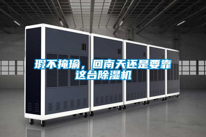 瑕不掩瑜，回南天還是要靠這臺(tái)除濕機(jī)