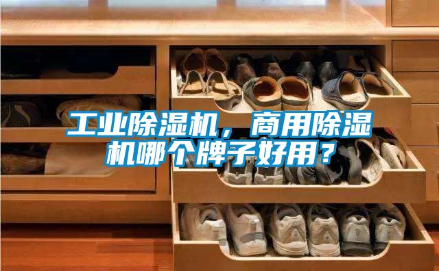 工業(yè)除濕機(jī)，商用除濕機(jī)哪個(gè)牌子好用？
