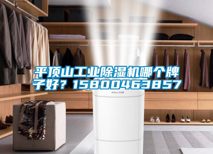 平頂山工業(yè)除濕機哪個牌子好？15800463857