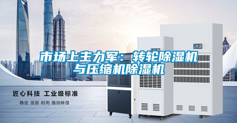 市場上主力軍：轉(zhuǎn)輪除濕機與壓縮機除濕機