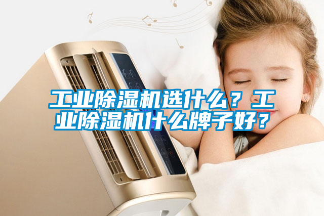 工業(yè)除濕機(jī)選什么？工業(yè)除濕機(jī)什么牌子好？