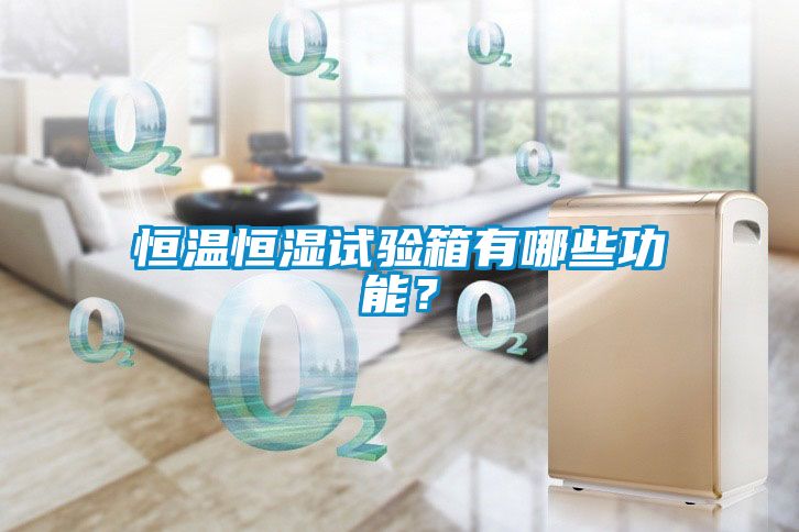 恒溫恒濕試驗(yàn)箱有哪些功能？