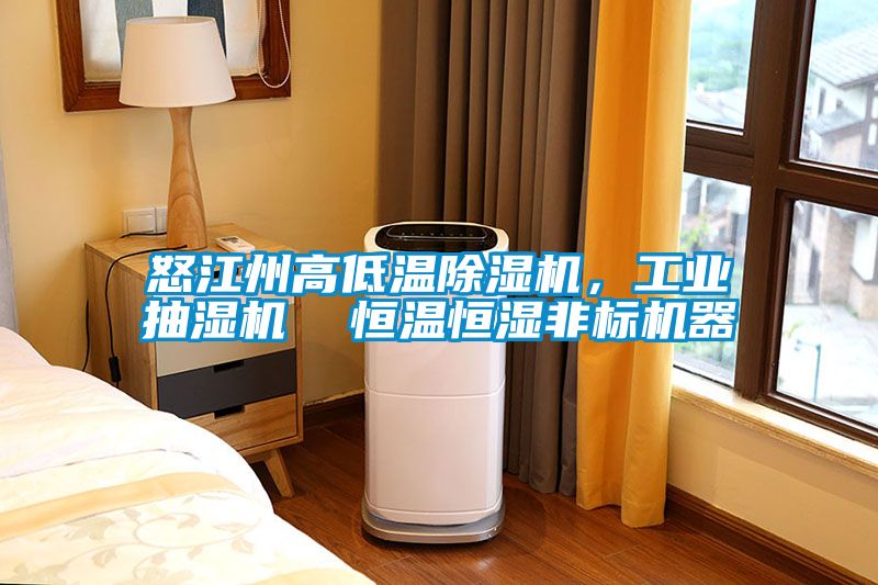 怒江州高低溫除濕機，工業(yè)抽濕機  恒溫恒濕非標(biāo)機器