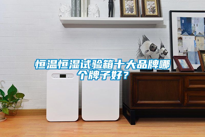 恒溫恒濕試驗(yàn)箱十大品牌哪個(gè)牌子好？