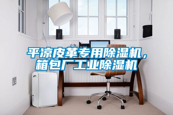 平?jīng)銎じ飳Ｓ贸凉駲C，箱包廠工業(yè)除濕機