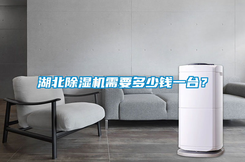 湖北除濕機需要多少錢一臺？