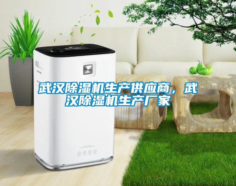 武漢除濕機生產(chǎn)供應(yīng)商，武漢除濕機生產(chǎn)廠家