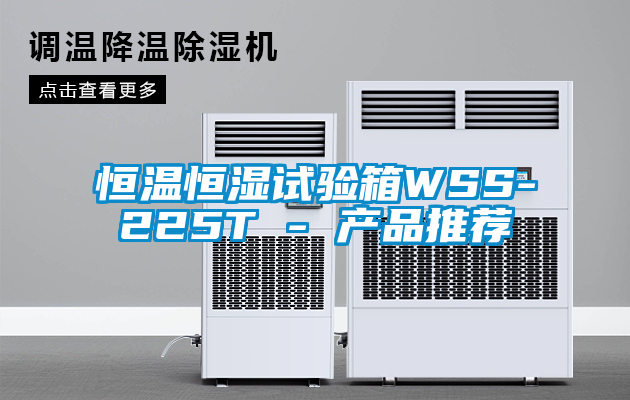 恒溫恒濕試驗箱WSS-225T - 產(chǎn)品推薦