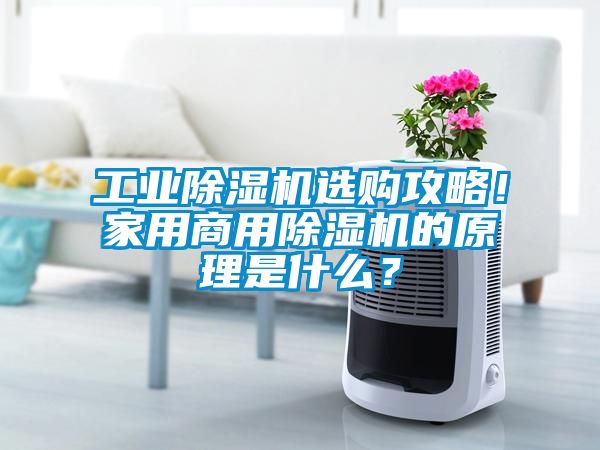 工業(yè)除濕機(jī)選購(gòu)攻略！家用商用除濕機(jī)的原理是什么？