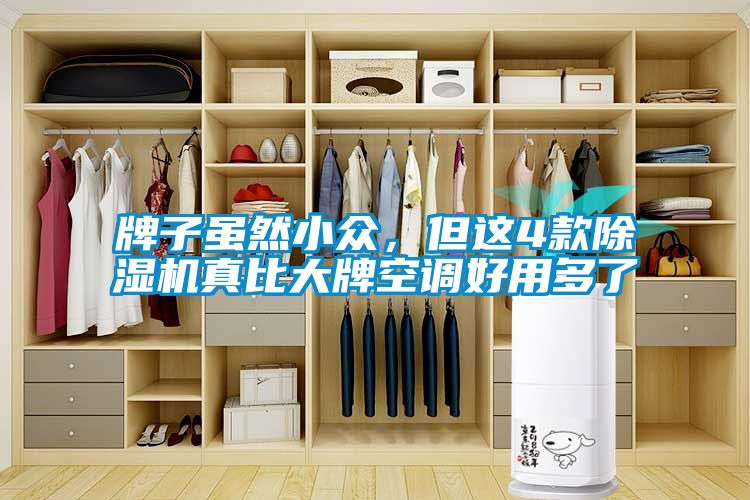 牌子雖然小眾，但這4款除濕機(jī)真比大牌空調(diào)好用多了