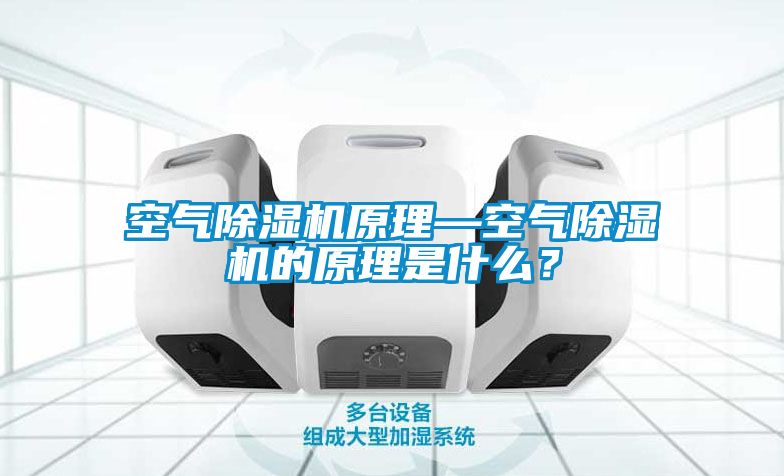 空氣除濕機(jī)原理—空氣除濕機(jī)的原理是什么？