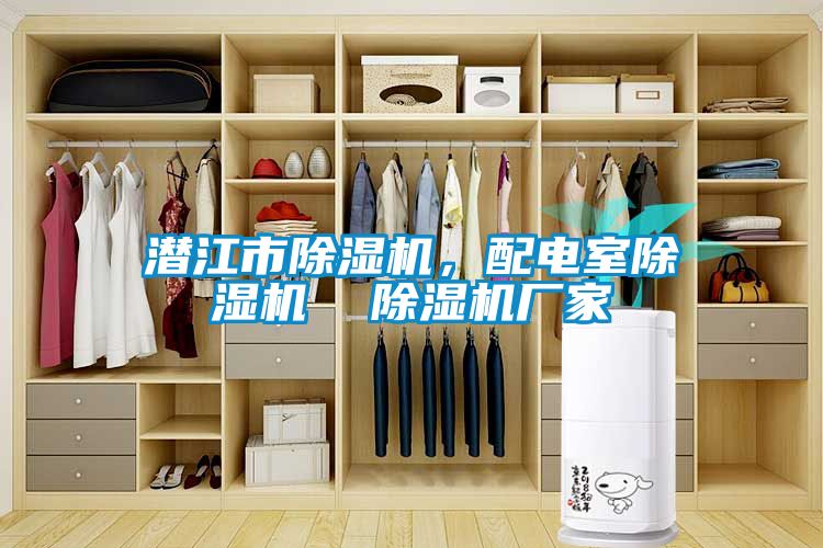潛江市除濕機，配電室除濕機  除濕機廠家