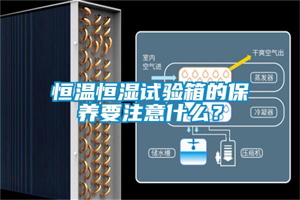恒溫恒濕試驗(yàn)箱的保養(yǎng)要注意什么？