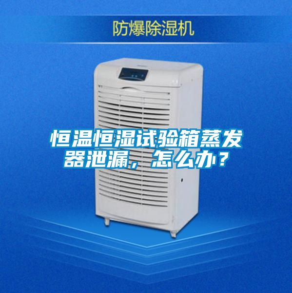 恒溫恒濕試驗箱蒸發(fā)器泄漏，怎么辦？