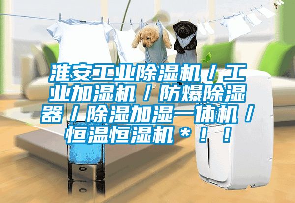 淮安工業(yè)除濕機(jī)／工業(yè)加濕機(jī)／防爆除濕器／除濕加濕一體機(jī)／恒溫恒濕機(jī)＊??！