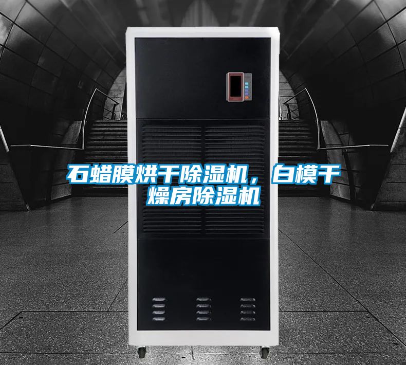 石蠟?zāi)ず娓沙凉駲C(jī)，白模干燥房除濕機(jī)