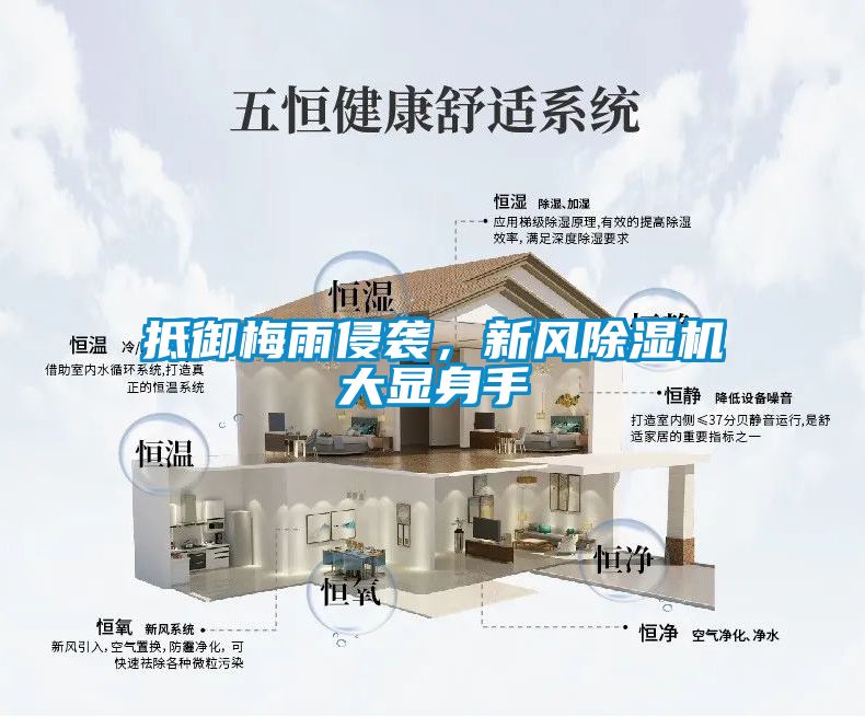 抵御梅雨侵襲，新風(fēng)除濕機(jī)大顯身手