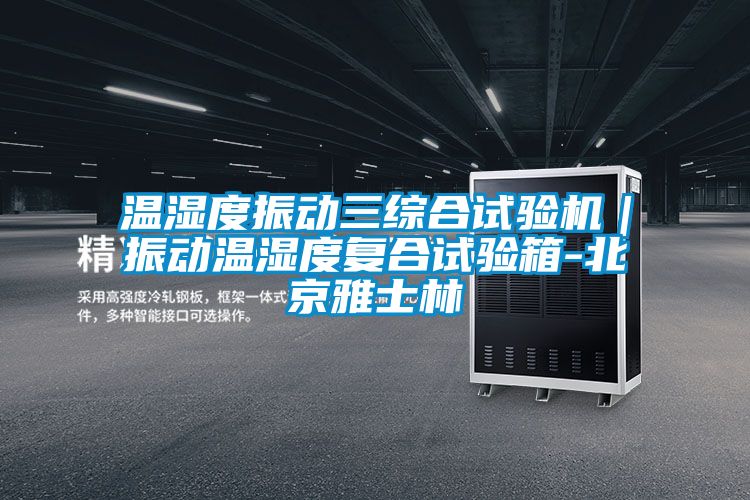 溫濕度振動三綜合試驗機(jī)｜振動溫濕度復(fù)合試驗箱-北京雅士林