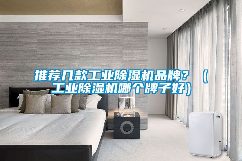 推薦幾款工業(yè)除濕機品牌？（工業(yè)除濕機哪個牌子好）