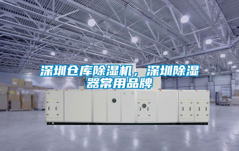 深圳倉(cāng)庫(kù)除濕機(jī)，深圳除濕器常用品牌