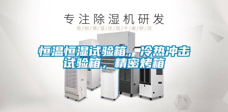 恒溫恒濕試驗(yàn)箱，冷熱沖擊試驗(yàn)箱，精密烤箱