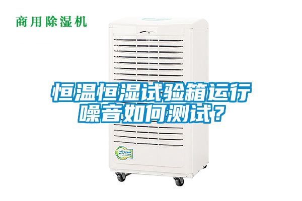 恒溫恒濕試驗(yàn)箱運(yùn)行噪音如何測(cè)試？