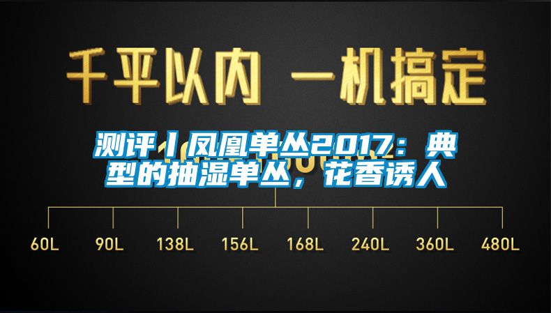 測(cè)評(píng)丨鳳凰單叢2017：典型的抽濕單叢，花香誘人