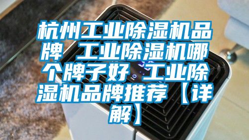 杭州工業(yè)除濕機品牌 工業(yè)除濕機哪個牌子好 工業(yè)除濕機品牌推薦【詳解】