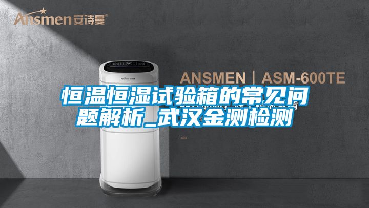 恒溫恒濕試驗(yàn)箱的常見問題解析_武漢金測(cè)檢測(cè)