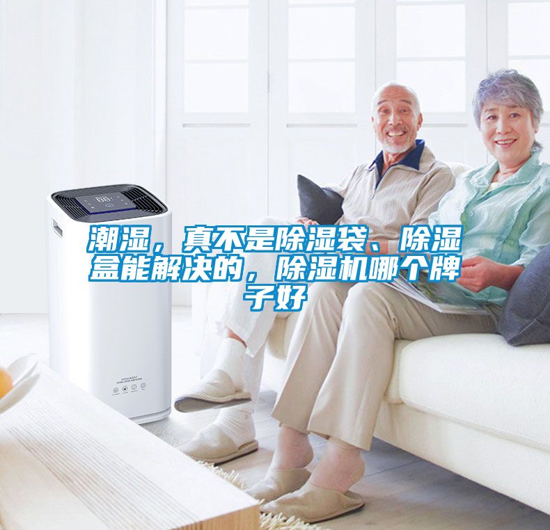 潮濕，真不是除濕袋、除濕盒能解決的，除濕機(jī)哪個牌子好