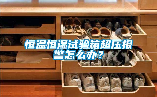 恒溫恒濕試驗(yàn)箱超壓報(bào)警怎么辦？