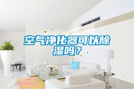 空氣凈化器可以除濕嗎？