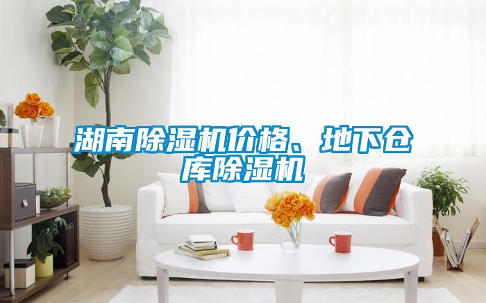 湖南除濕機(jī)價格、地下倉庫除濕機(jī)