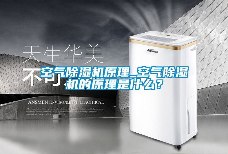 空氣除濕機原理_空氣除濕機的原理是什么？