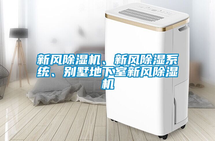新風除濕機、新風除濕系統(tǒng)、別墅地下室新風除濕機