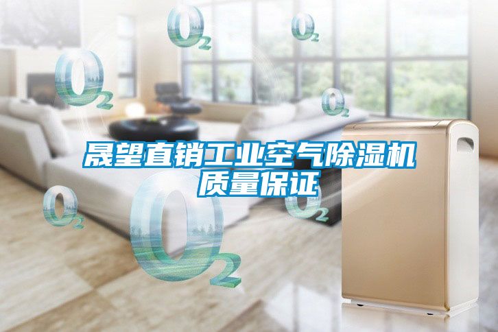 晟望直銷(xiāo)工業(yè)空氣除濕機(jī) 質(zhì)量保證