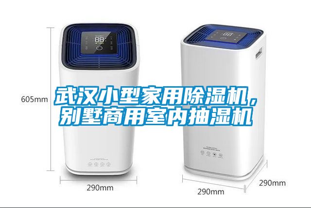 武漢小型家用除濕機，別墅商用室內(nèi)抽濕機