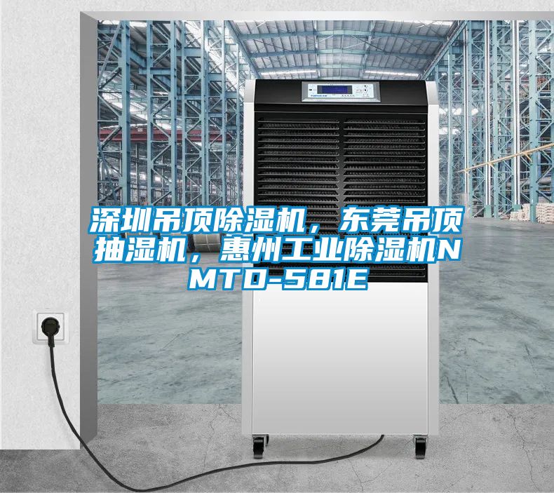 深圳吊頂除濕機(jī)，東莞吊頂抽濕機(jī)，惠州工業(yè)除濕機(jī)NMTD-581E