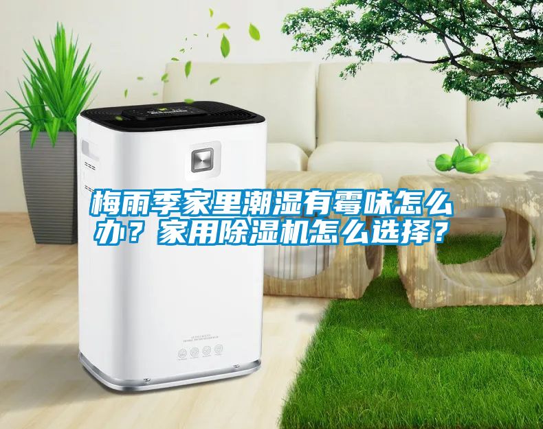 梅雨季家里潮濕有霉味怎么辦？家用除濕機(jī)怎么選擇？